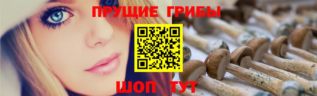 Тавда  Псилоцибиновые грибы Magic Shrooms  Вход с VPN  Галлюциногенные грибы прущие грибы 