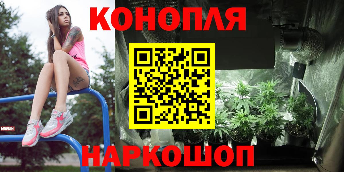 Шишки марихуана план  Вход с VPN  Тавда  Канабис тримм  МАРИХУАНА гибрид 